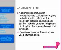 Netralisme Adalah Dan Contohnya Biologi 2